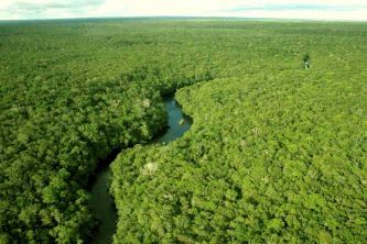 floresta-amazonica