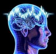 neuroscience.brainwaves
