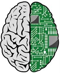 cérebro-computador